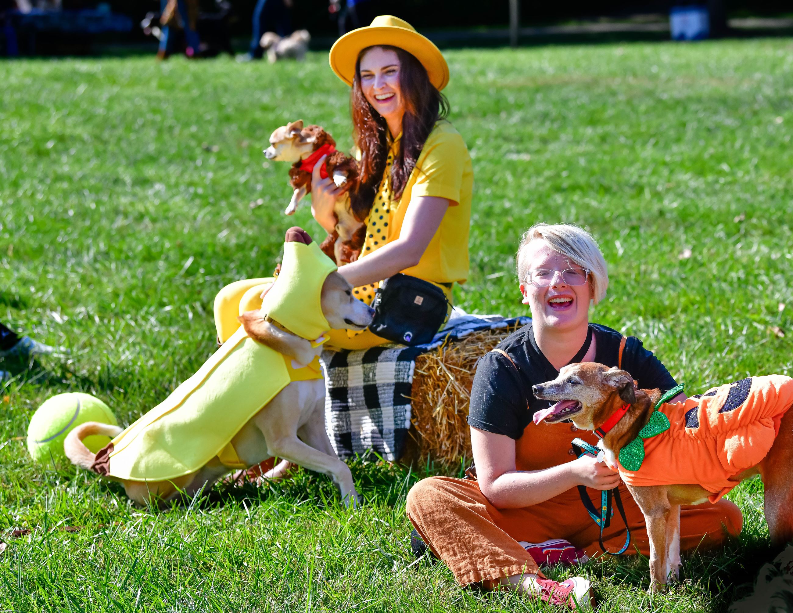 Barktoberfest 2024-12